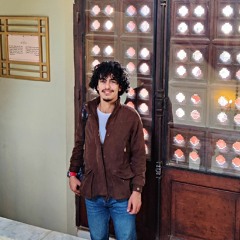 Mostapha Sayed