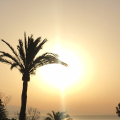 el sol de la mañana