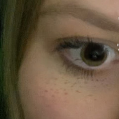 typisch.lxcx
