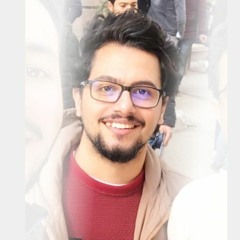 Mohamed Raafat