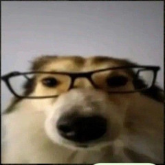 ｊｅｊｅ