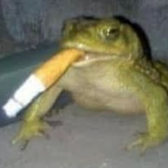 FROGGI