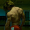 Lujolifts