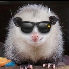 Ticoon