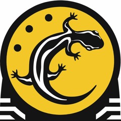 LE TRITON