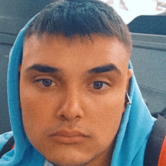 razvan4566