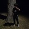bat_davo