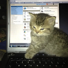 kit-kitten