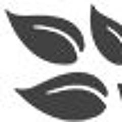 Dr. Kells' Weight Loss