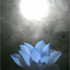 Lotusblossom