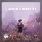 Soulwanderer