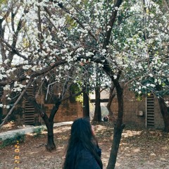 Salsabila Rashid