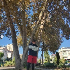 Kavun