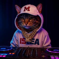Matt Cattingtons