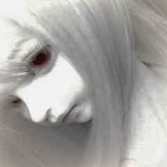 La miss fairy