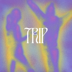 trip