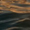 Shances