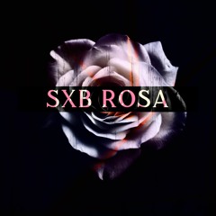SUB ROSA