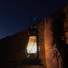 ندى ابو النصر