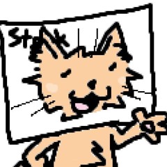 Stock Image of a Cat