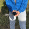 Ayman