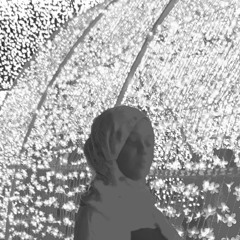 Nahla Noureldin