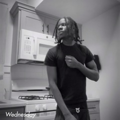 BaggChaser Rese