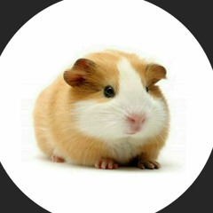 mr nibbles
