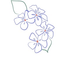 Rose Nomena