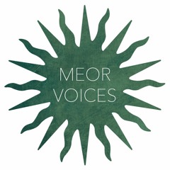 Meor Voices