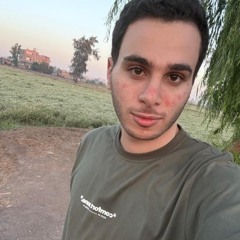 Emad Behery