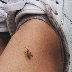 lietutis🦋