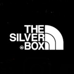 The Silver Box