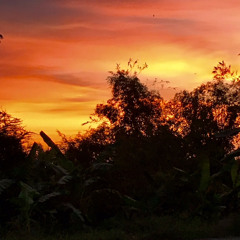 tided riok
