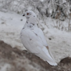 My Playlist #105 - 3