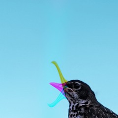 Ｃｅｍｅｔｅｒｙ░Ｓｏｃｉａｌ （ろゑヤ）