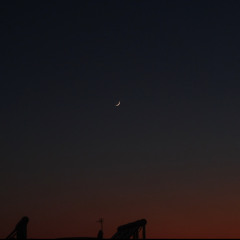 moonpiix