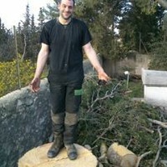Sebastien Tentorini