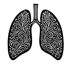 Brad Lewis - Breathe, Move, Connect