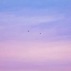 مروة ابراهيم