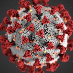 Never Been In Love Before [30]