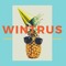 WiNTRUS