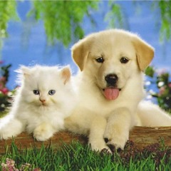 Татьяна Ушакова