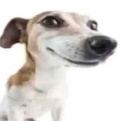 kljvk