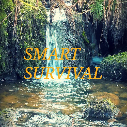 Smart Survival’s avatar