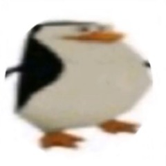 stev