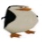 stev
