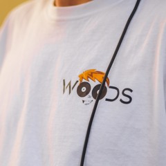 DJ WOODS