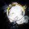 n1 shadow milk fan