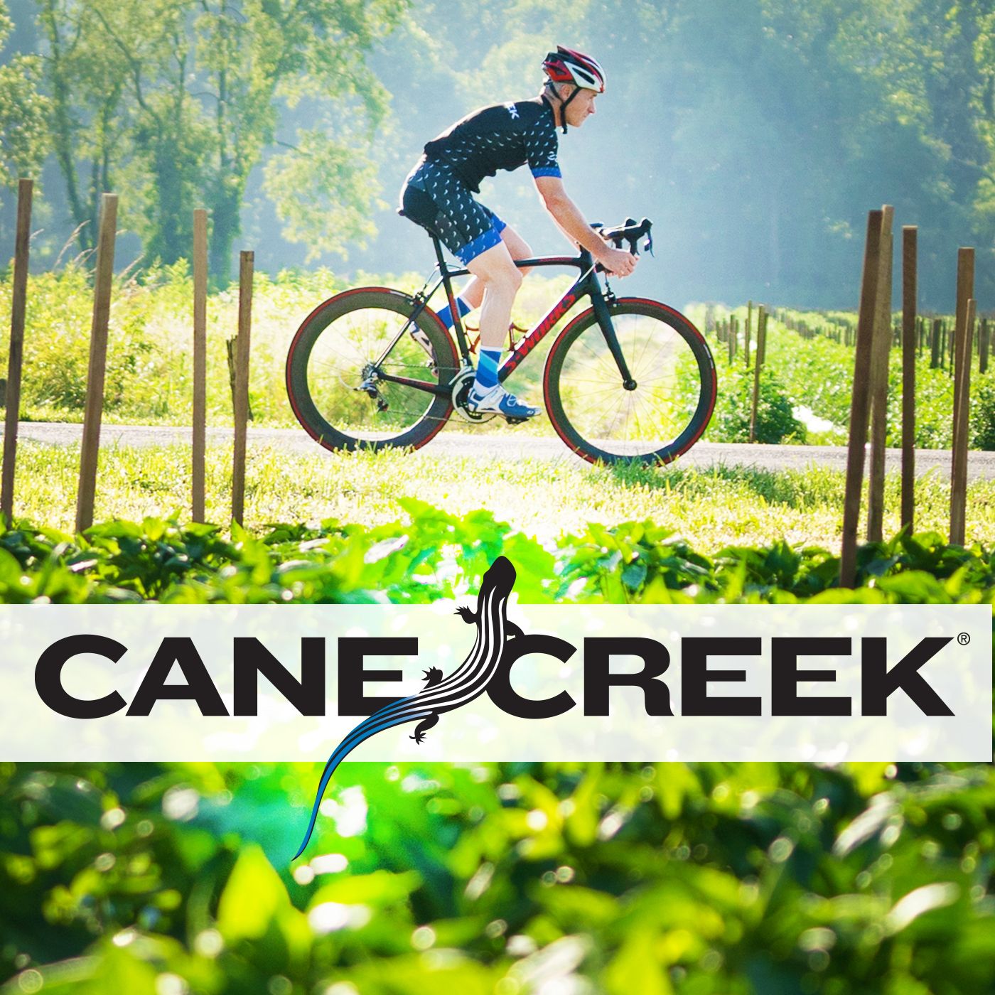 cane creek bike